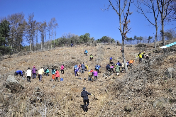 산림조합중앙회 임직원들과 조합원들이 산에서 나무를 심고 있다. 사진=산림조합.