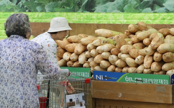 한국노인인력개발원은 새로운 사회서비스형 노인일자리 ‘시니어 소비자 지킴이 시범사업’을 추진한다. 사진은 마트에서 장을 보고 있는 어르신들.    사진=연합뉴스