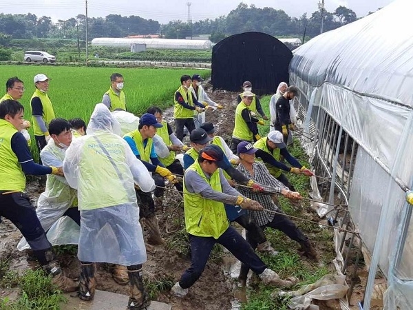 NH농협은행이 오는 31일까지 약 3주간 전국 34개 지역 3,000여명 임직원들이 호우 피해지역 일손돕기 행사를 집중 실시한다.(사진=농협은행)