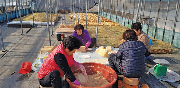 대한노인회 전남 영암군지회 어르신들이 경로당 공동작업장에서 콩으로 메주를 만들고 있다.