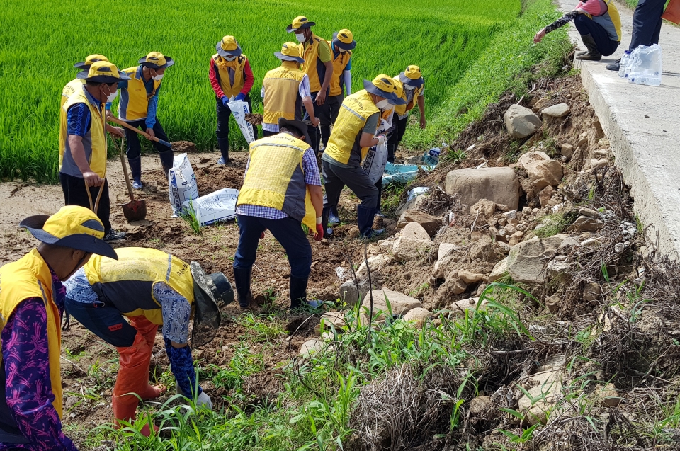 강진구지회의 도암넘버원자원봉사클럽이 폭우피해 농가를 찾아 봉사활동을 펼쳤다.