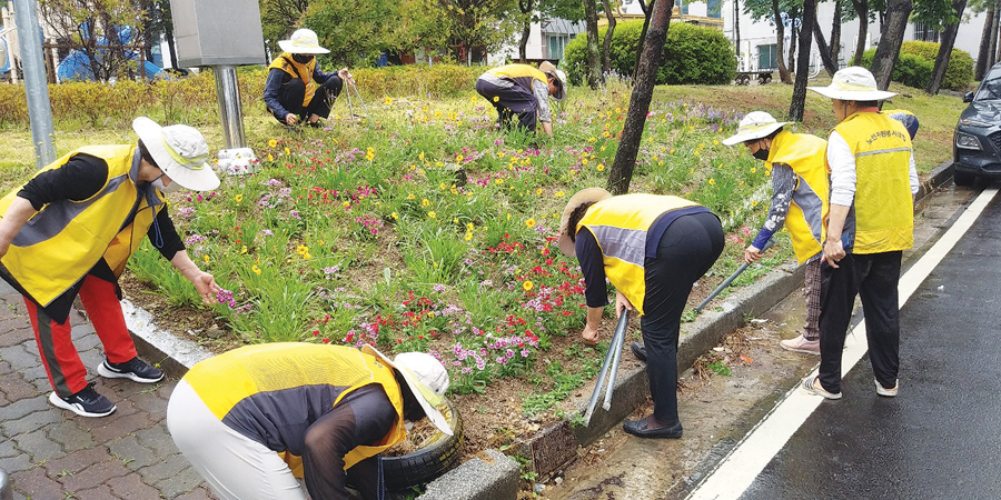 대한노인회 울산 북구지회 소속의 동호계자원봉사클럽 회원들이 동네의 ‘으뜸공원’에서 꽃나무를 가꾸고 있다.