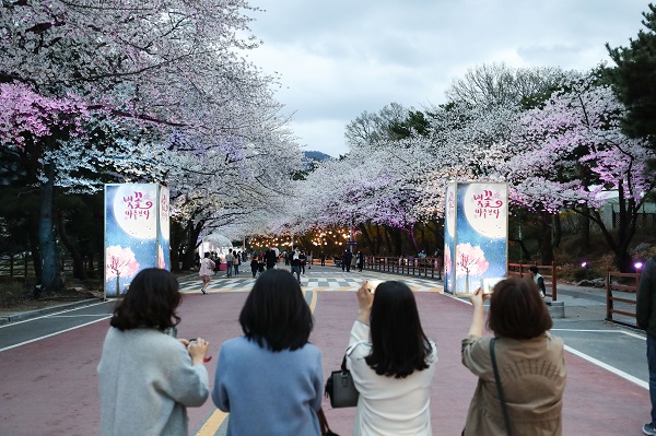 코로나19 이전 렛츠런파크서울 벚꽃축제 풍경.(사진=한국마사회)