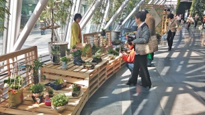 봄 맞은 서울광장… 축제 풍성