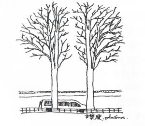[배상섭의 스케치 파노라마] 박물관 앞 쌍둥이 나무