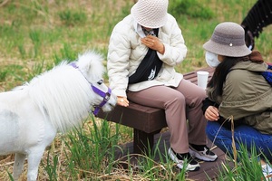 한국마사회, 말과 교감하는 동물매개치료 ‘홀스테라피’ 각광