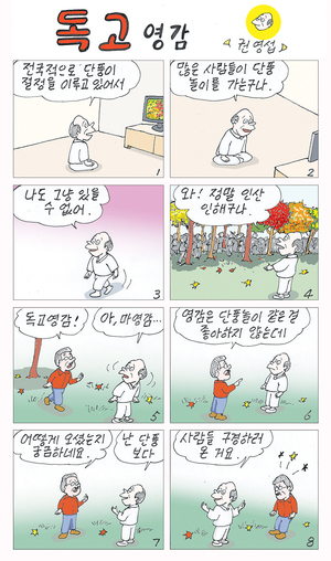 (538) 독고영감 [권영섭]