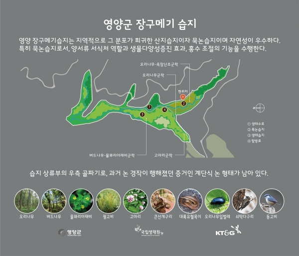 KT&G가 지난 1월 국립생태원과 함께 경북 영양군에 위치한 ‘장구메기 습지’의 보존 공사를 완료한 모습. 사진은 경북 영양군에 위치한 ‘장구메기 습지’의 안내판 이미지 (사진=KT&G)